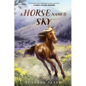 A Horse Named Sky -- Rosanne Parry